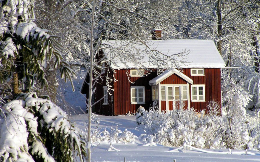 How to Prepare Your Roof for the Winter