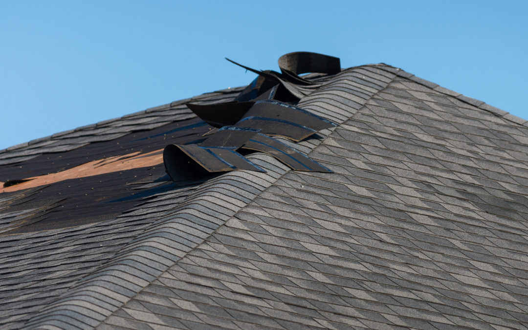 4 Big Signs That Wind Damaged Your Roof